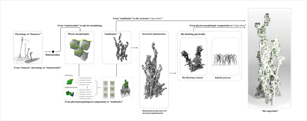 FROM PHYSIO TO ALGORITHM(S).ai