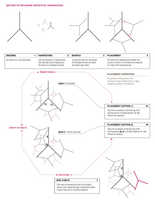 ml_growth_process1