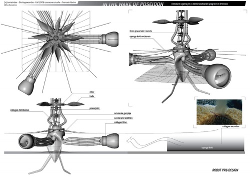 presentation_06_11_2008_img7