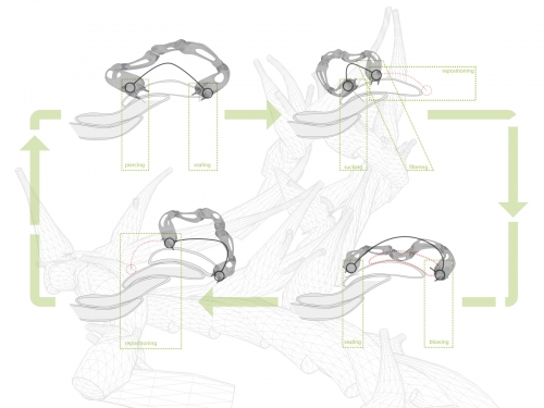 17xiiworm-diagram2